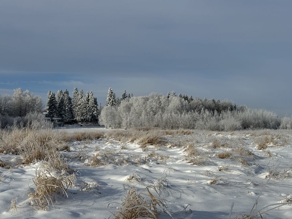 December