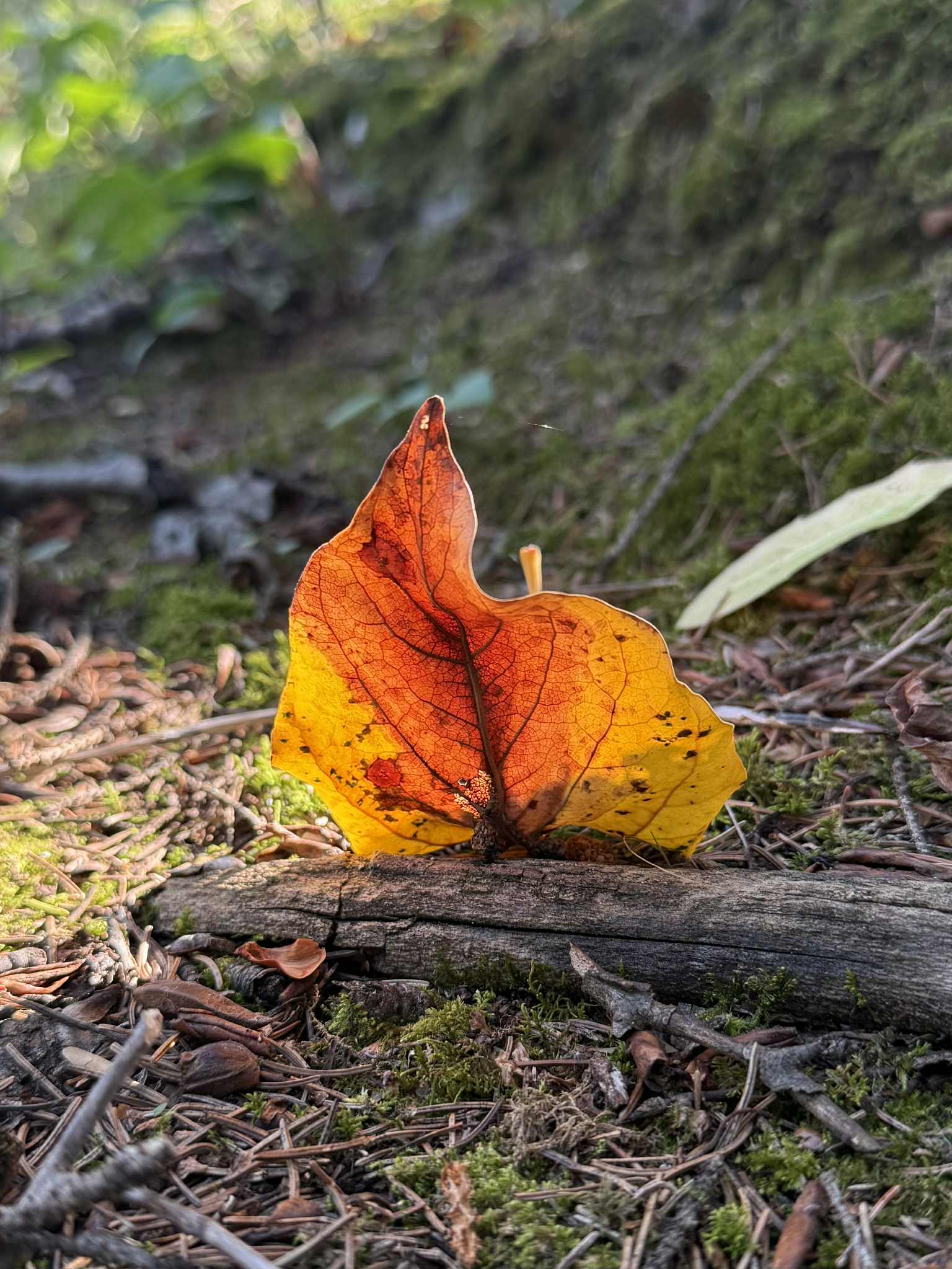 September